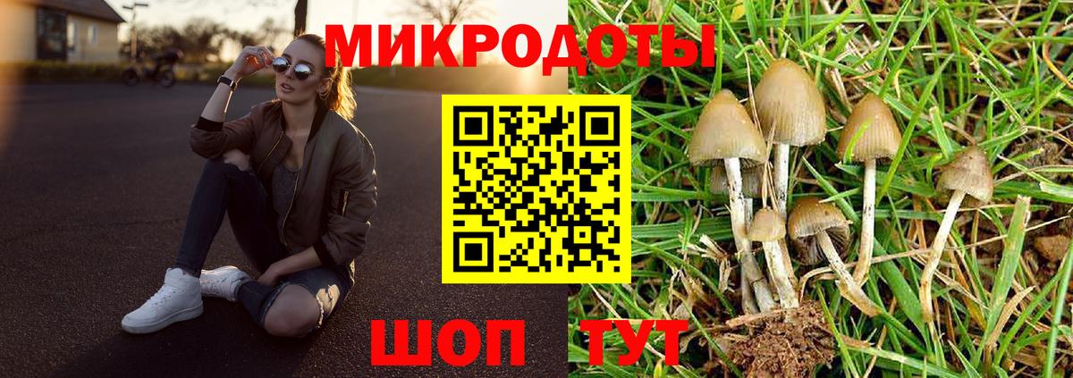 Галлюциногенные грибы GOLDEN TEACHER Холмск